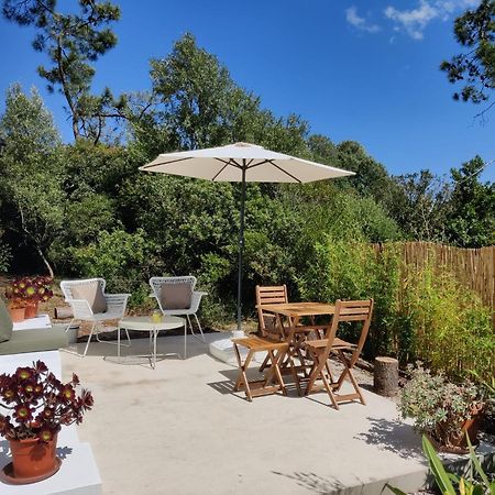 Quinta Do Alento Bed and Breakfast Σεσίμπρα Εξωτερικό φωτογραφία