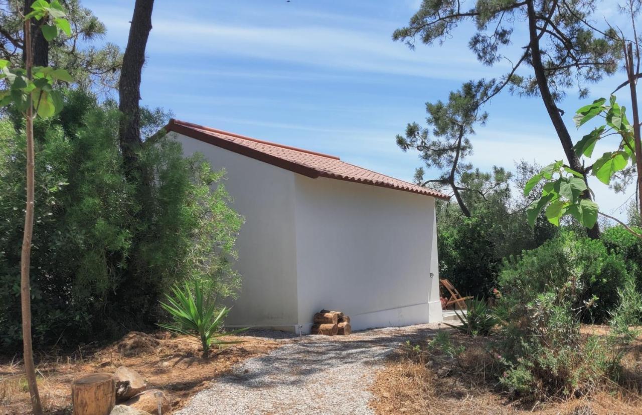 Quinta Do Alento Bed and Breakfast Σεσίμπρα Εξωτερικό φωτογραφία